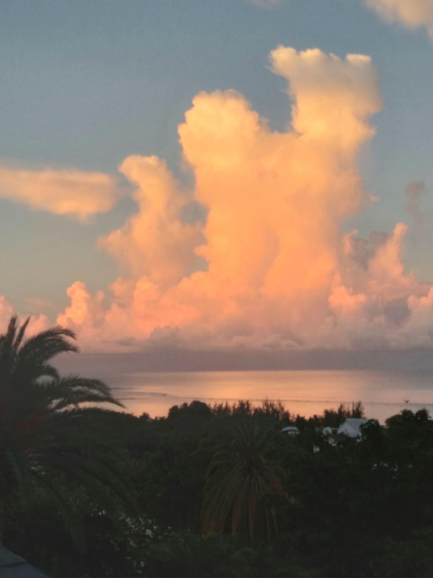 Villa Lacaze Flamboyant photo 1