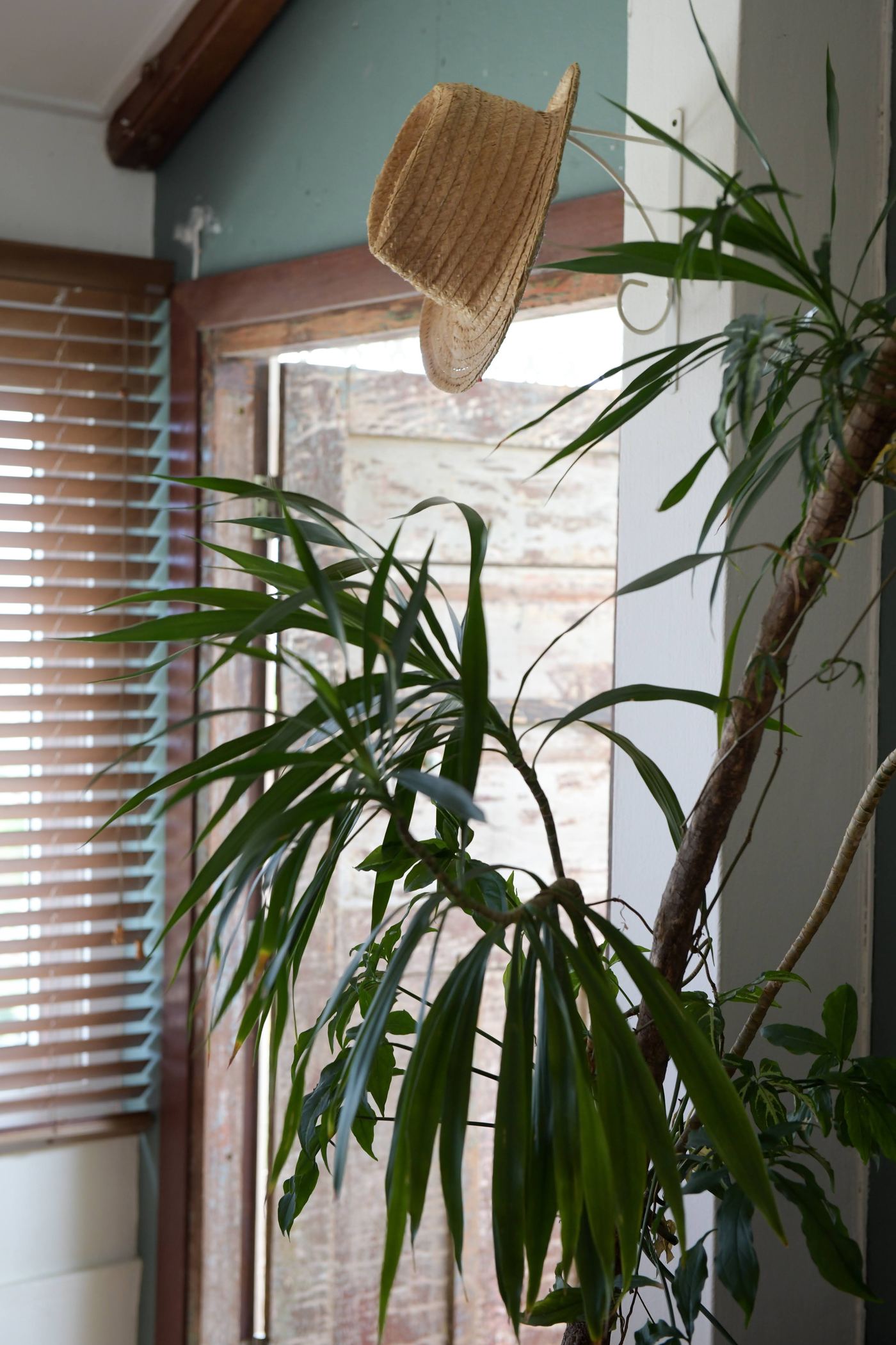 Villa Lacaze Flamboyant photo 28
