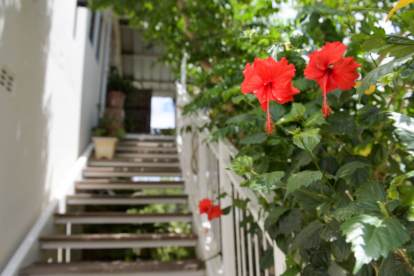 Villa Lacaze Flamboyant photo 30