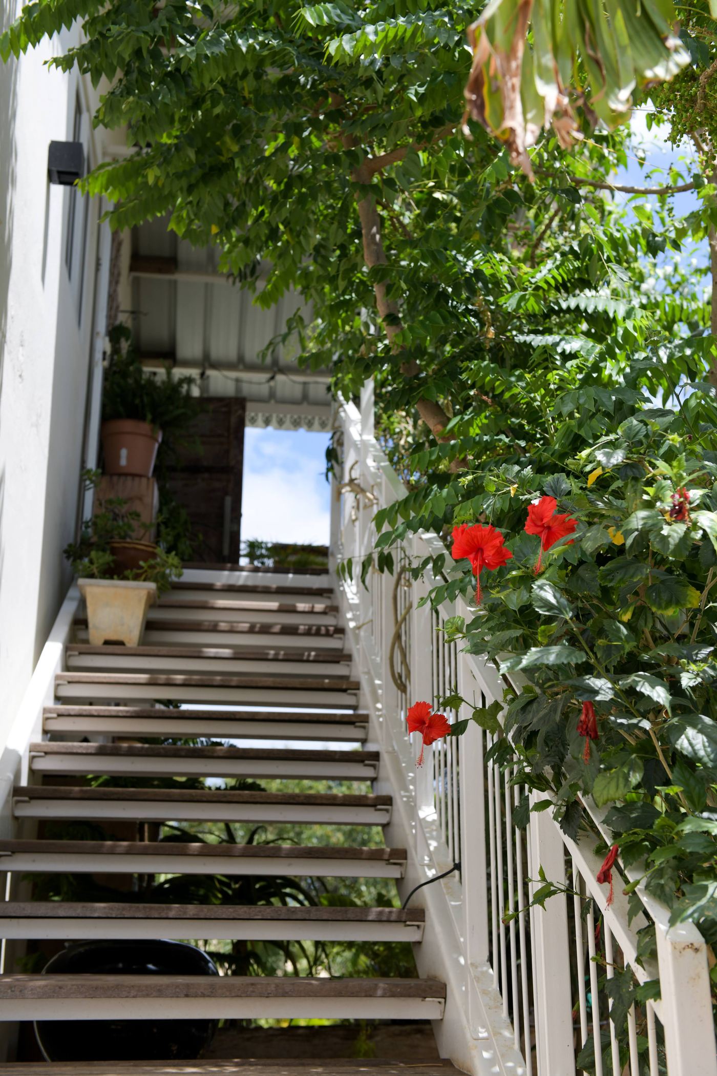 Villa Lacaze Flamboyant photo 31