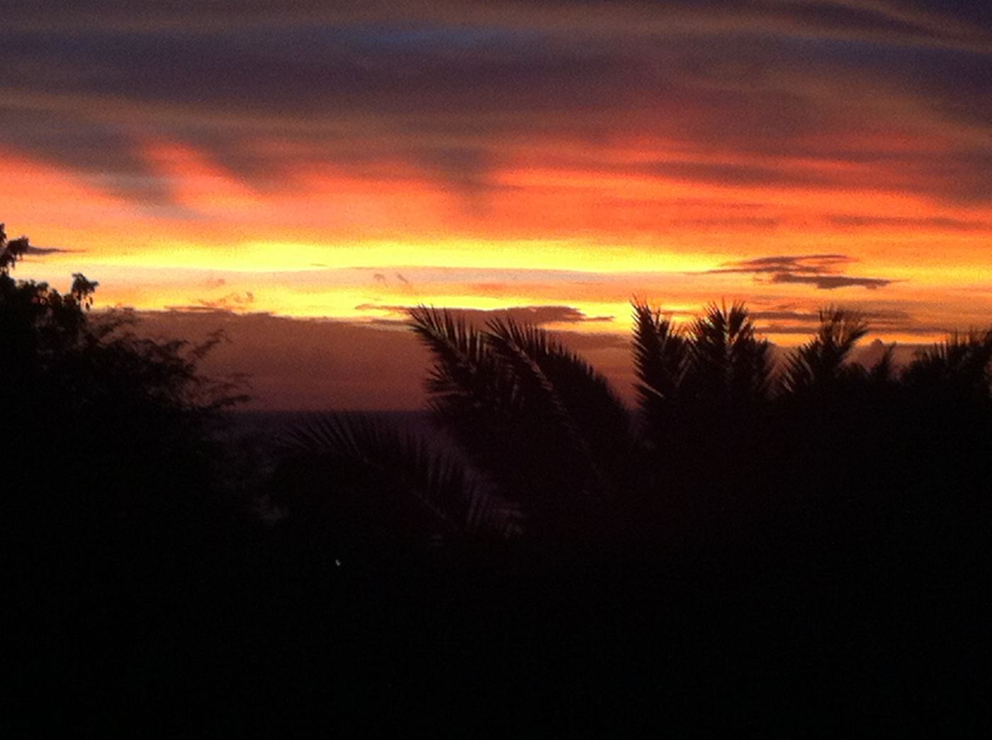 Villa Lacaze Flamboyant photo 38