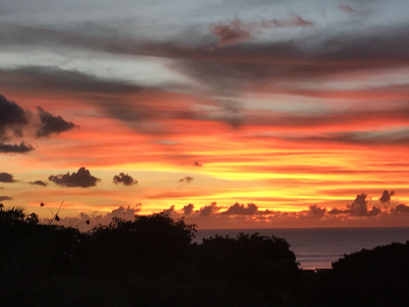 Villa Lacaze Flamboyant photo 40