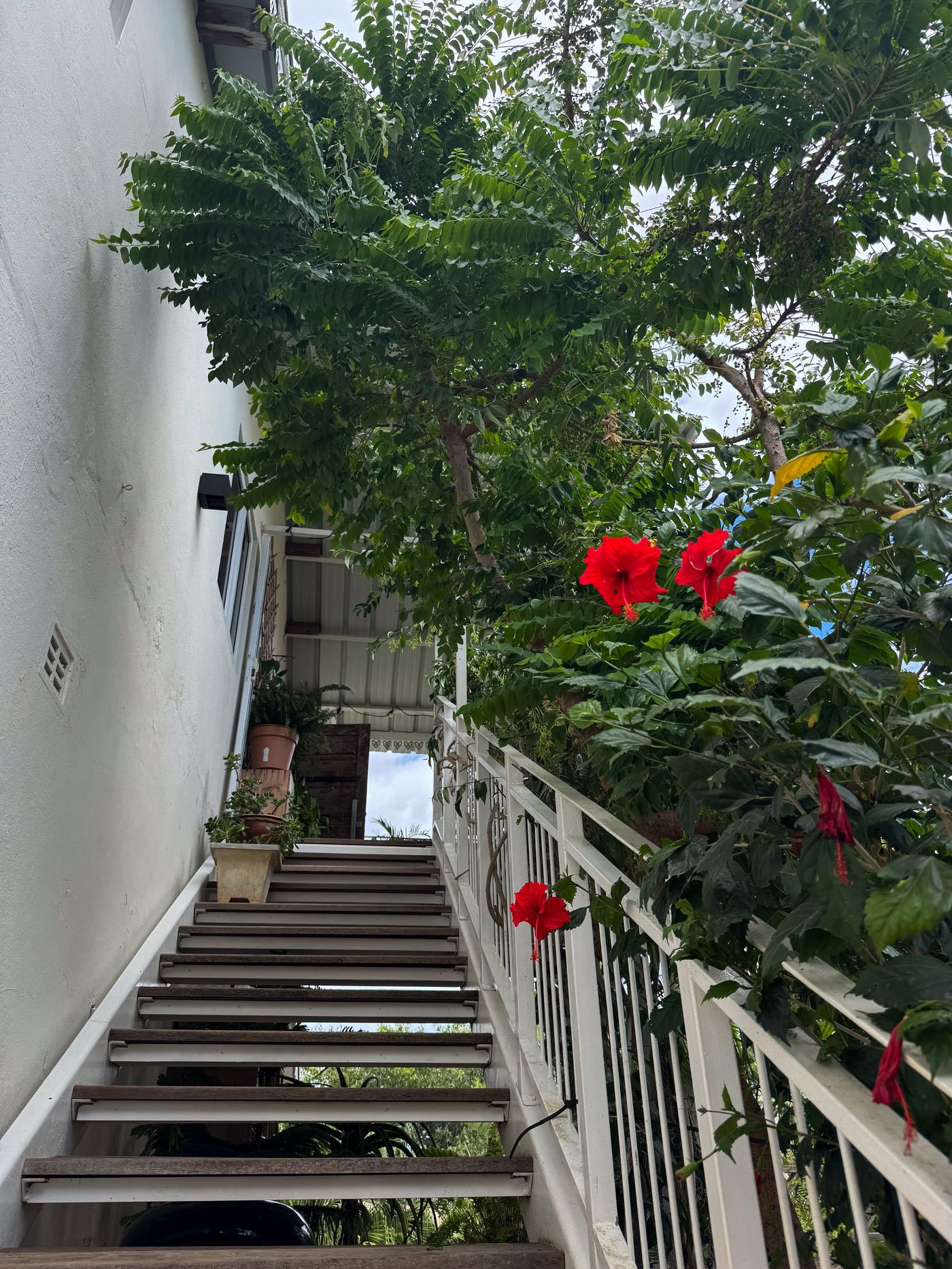 Villa Lacaze Flamboyant photo 62