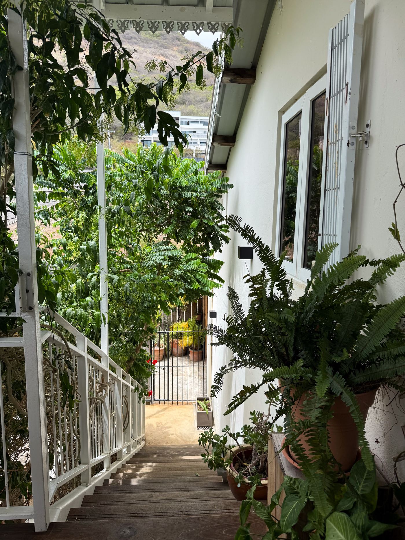 Villa Lacaze Flamboyant photo 70