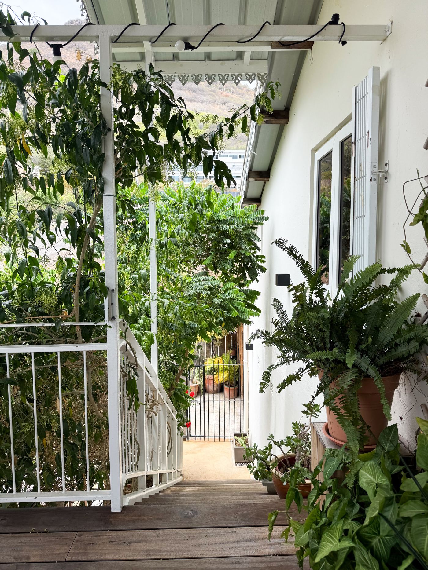 Villa Lacaze Flamboyant photo 71