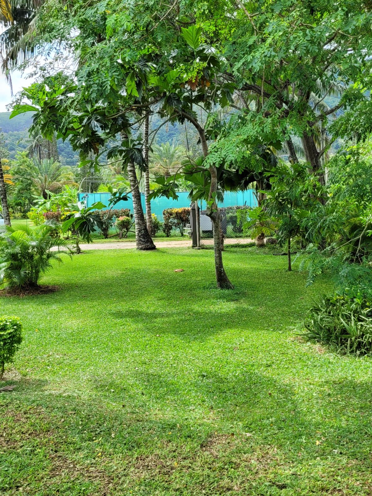 Villa Monoï photo 24
